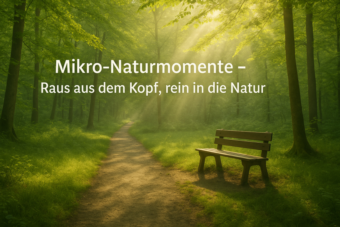Ein sonnendurchfluteter Waldweg mit einer Holzbank, umgeben von frischem Frühlingsgrün – Symbol für Ruhe, Achtsamkeit und mentale Entspannung.