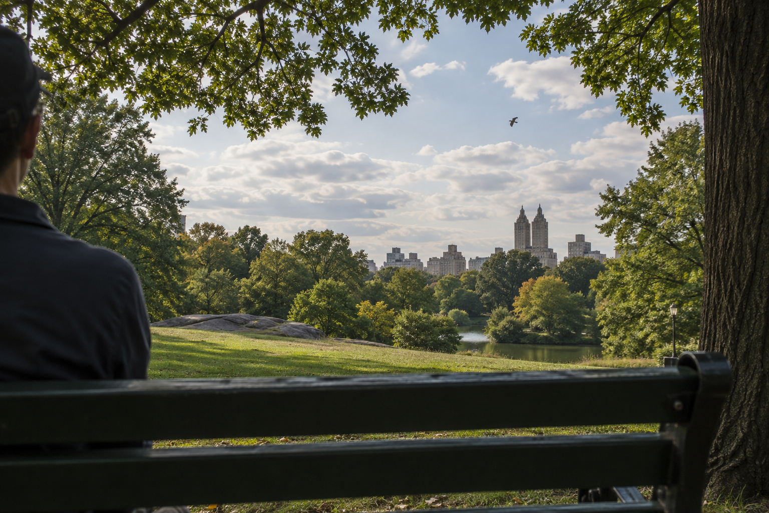 Vögel und Wolken als ruhige Beschäftigung im Park beobachten